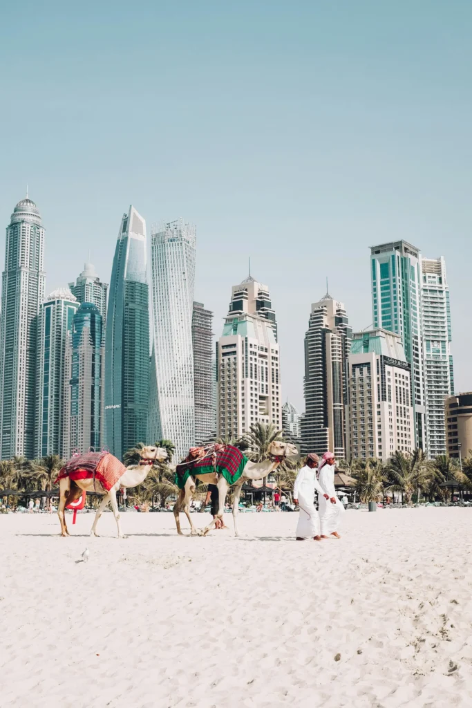 Arabican Raches